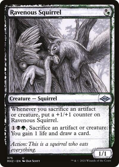 Ravenous Squirrel Showcase (MH2) #375 Uncommon (Lightly Played) Modern Horizons 2 Magic: The Gathering: 2021
