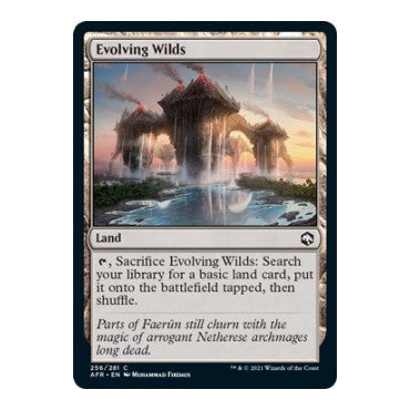 Evolving Wilds (AFR) #256 Common Adventures in the Forgotten Realms Magic: The Gathering: 2021