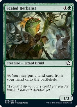 Scaled Herbalist (AFR) #204 Common (Lightly Played) Adventures in the Forgotten Realms Magic: The Gathering: 2021
