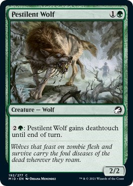 Pestilent Wolf (MID) #192 Common (Foil Lightly Played) Innistrad: Midnight Hunt Magic: The Gathering: 2021