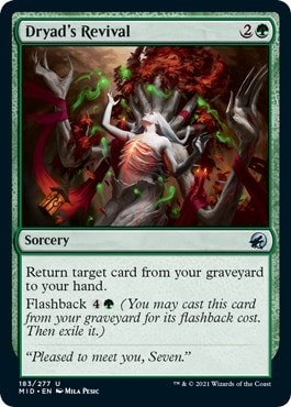 Dryads Revival (MID) #183 Uncommon (Lightly Played) Innistrad: Midnight Hunt Magic: The Gathering: 2021