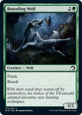 Bounding Wolf (MID) #170 Common (Foil Lightly Played) Innistrad: Midnight Hunt Magic: The Gathering: 2021
