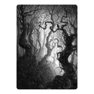 Forest Art Card (80/81) (ASMID) #80 Special (Lightly Played) Art Series: Innistrad: Midnight Hunt Magic: The Gathering: 2021