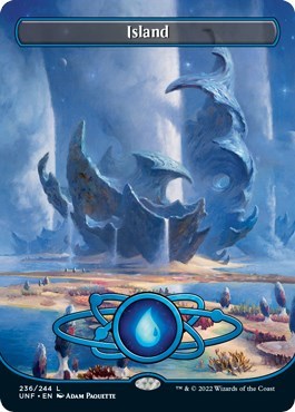 Island 236 Borderless (UNF) #236 Land (Near Mint) Unfinity Magic: The Gathering: 2022