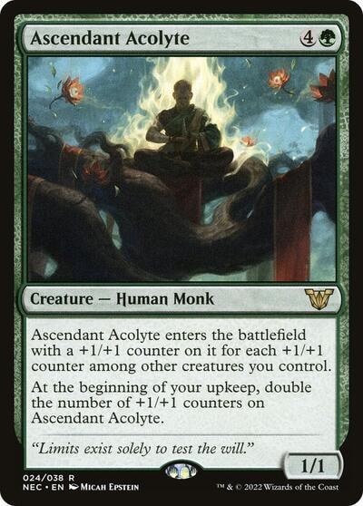 Ascendant Acolyte (NEC) #24 Rare (Lightly Played) Commander: Kamigawa: Neon Dynasty Magic: The Gathering: 2022