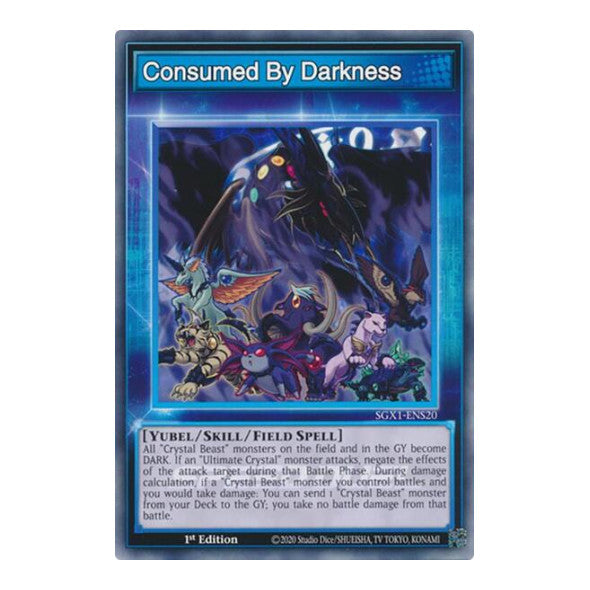 Consumed By Darkness () #SGX1-ENS20 Common (1st Edition Lightly Played) Speed Duel GX: Duel Academy Box YuGiOh: 2022