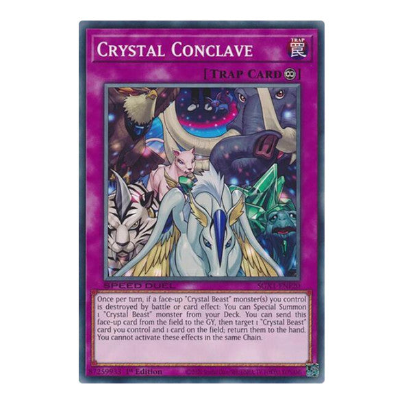 Crystal Conclave () #SGX1-ENF20 Common (1st Edition Lightly Played) Speed Duel GX: Duel Academy Box YuGiOh: 2022