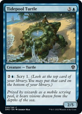Tidepool Turtle (DMU) #69 Common Dominaria United Magic: The Gathering: 2022