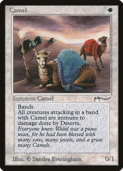 Camel (ARN) #3 Common (Moderately Played) Arabian Nights Magic: The Gathering: 1993