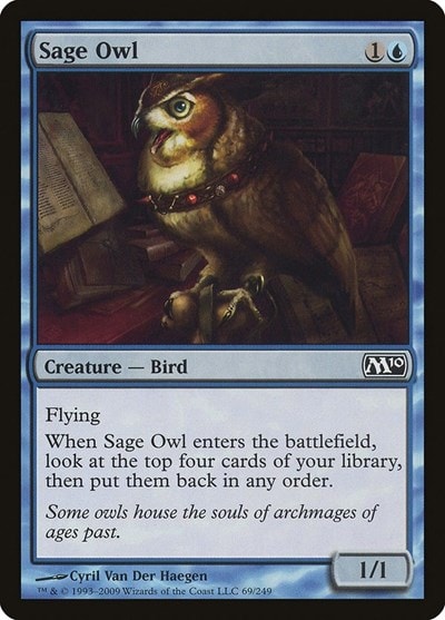 Sage Owl (M10) #69 Common (Heavily Played) Magic 2010 (M10) Magic: The Gathering: 2009