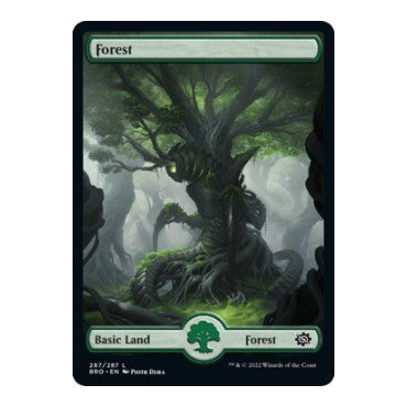 Forest 287 Full Art (BRO) #287 Land (Foil Lightly Played) The Brothers' War Magic: The Gathering: 2022
