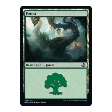 Forest 276 (BRO) #276 Land (Foil Lightly Played) The Brothers' War Magic: The Gathering: 2022
