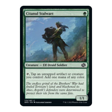 Citanul Stalwart (BRO) #175 Common The Brothers' War Magic: The Gathering: 2022