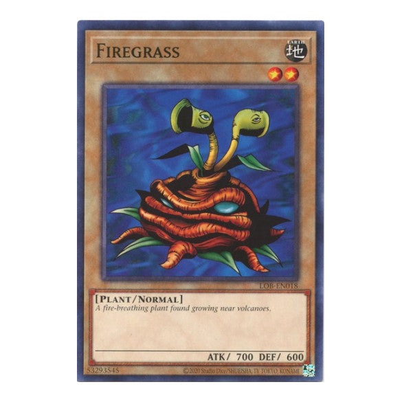 Firegrass (LOB-EN) #LOB-EN018 Common (Unlimited Heavily Played) Legend of Blue Eyes White Dragon (25th Anniversary Edition) YuGiOh: 2023