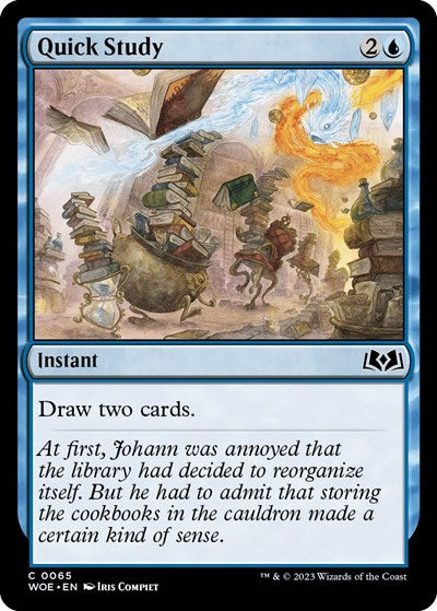 Quick Study (WOE) #65 Common (Lightly Played) Wilds of Eldraine Magic: The Gathering: 2023