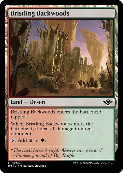 Bristling Backwoods (OTJ) #253 Land (Lightly Played) Outlaws of Thunder Junction Magic: The Gathering: 2024