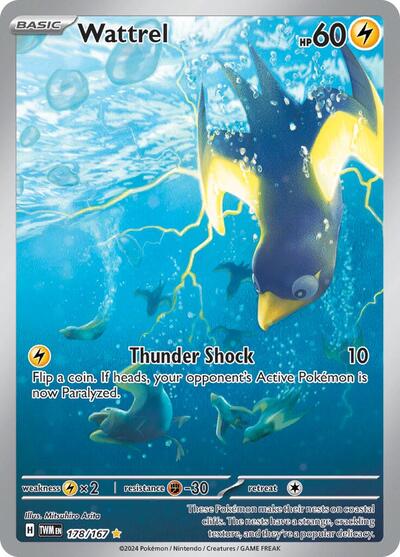 Wattrel 178 167 (TWM) #178/167 Illustration Rare (Holofoil Near Mint) SV06: Twilight Masquerade Pokemon: 2024