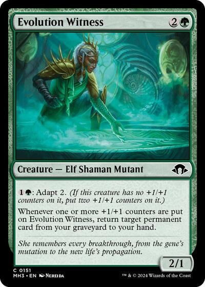 Evolution Witness (MH3) #151 Common (Lightly Played) Modern Horizons 3 Magic: The Gathering: 2024