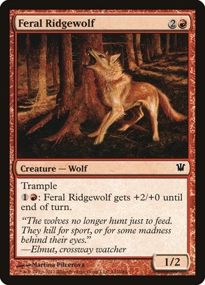 Feral Ridgewolf (ISD) #142 Common (Moderately Played) Innistrad Magic: The Gathering: 2011