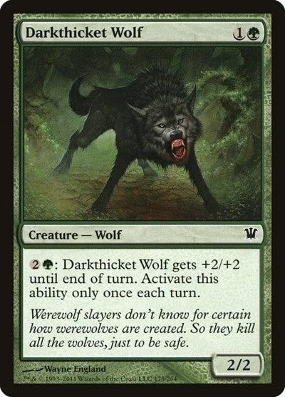 Darkthicket Wolf (ISD) #175 Common (Heavily Played) Innistrad Magic: The Gathering: 2011