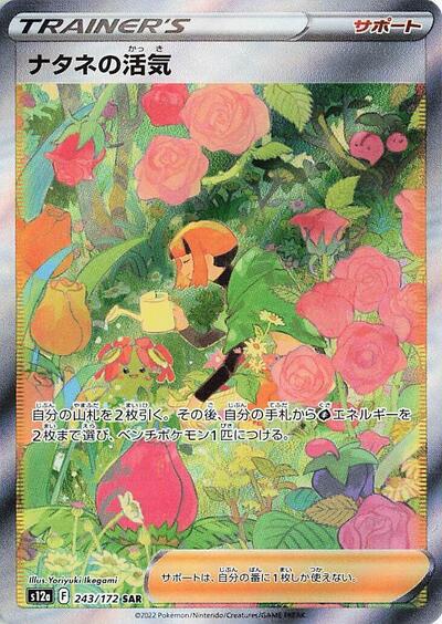 Gardenias Vigor 243 172 (S12a) #243/172 Special Art Rare (Holofoil Near Mint) S12a: VSTAR Universe Pokemon Japan: 2022