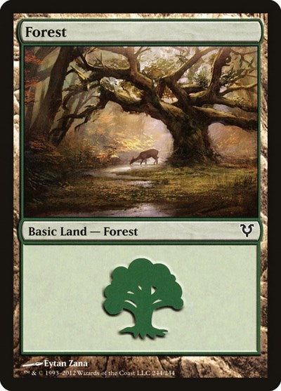 Forest (244) (AVR) #244 Land (Foil Lightly Played) Avacyn Restored Magic: The Gathering: 2012