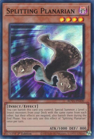 Splitting Planarian (ROTA) #ROTA-EN100 Super Rare (1st Edition Near Mint) Rage of the Abyss YuGiOh: 2024
