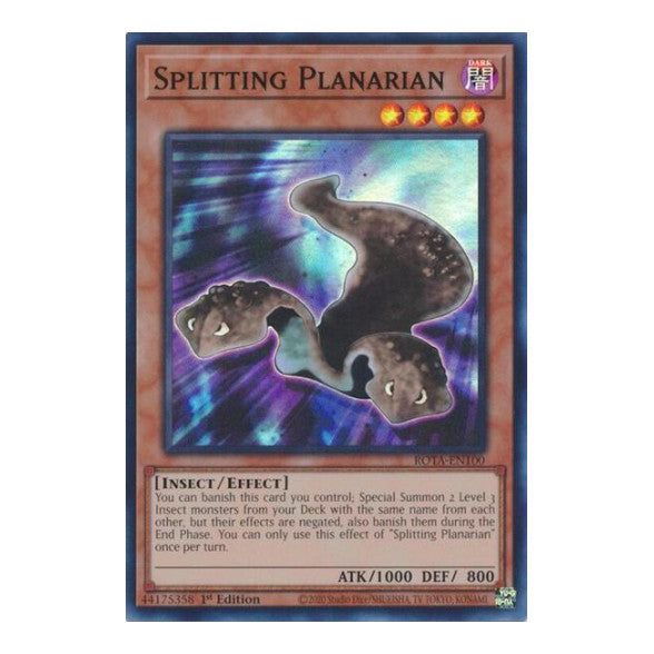 Splitting Planarian (ROTA) #ROTA-EN100 Super Rare (1st Edition Near Mint) Rage of the Abyss YuGiOh: 2024