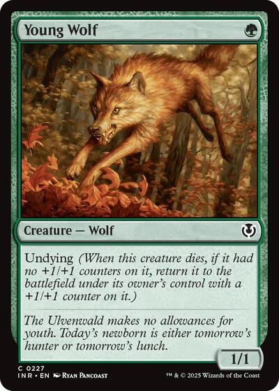 Young Wolf (INR) #227 Common (Lightly Played) Innistrad Remastered Magic: The Gathering: 2025
