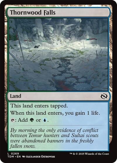 Thornwood Falls (TDM) #269 Land (Lightly Played) Tarkir: Dragonstorm Magic: The Gathering: 2025