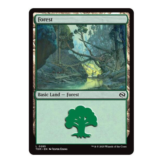 Forest (0285) (TDM) #285 Land (Foil Lightly Played) Tarkir: Dragonstorm Magic: The Gathering: 2025