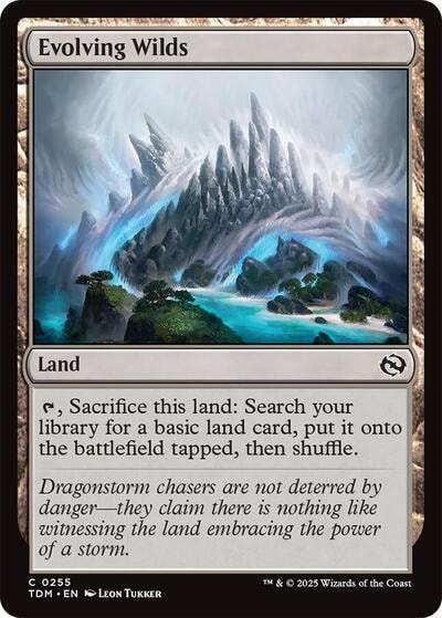 Evolving Wilds (TDM) #255 Common (Lightly Played) Tarkir: Dragonstorm Magic: The Gathering: 2025