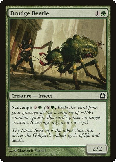 Drudge Beetle (RTR) #122 Common (Damaged) Return to Ravnica Magic: The Gathering: 2012