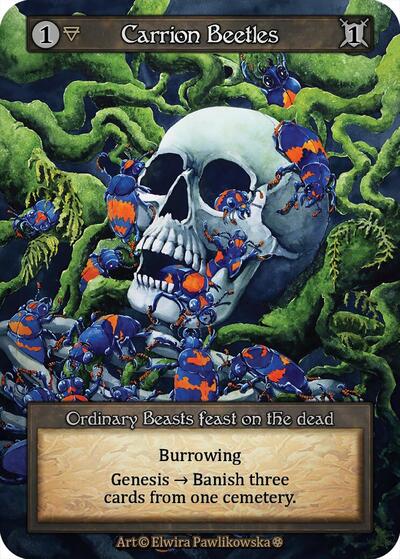 Carrion Beetles (GT) Ordinary (Near Mint) Gothic Sorcery Contested Realm: 2025