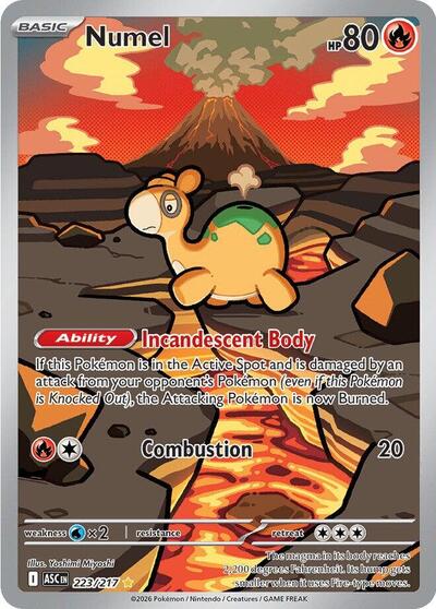 Numel 223 217 (ASC) #223/217 Illustration Rare (Holofoil Near Mint) ME: Ascended Heroes Pokemon: 2026
