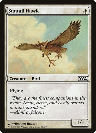 Suntail Hawk (M14) #40 Common (Lightly Played) Magic 2014 (M14) Magic: 2013