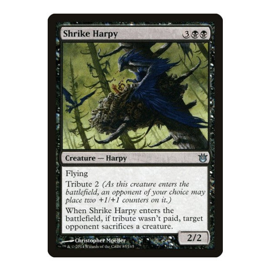 Shrike Harpy (BNG) #83 Uncommon (Moderately Played) Born of the Gods Magic: The Gathering: 2014