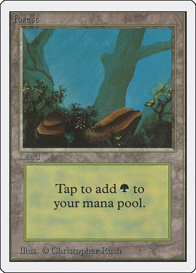 Forest A (2ED) #300 Land (Heavily Played) Unlimited Edition Magic: 1993