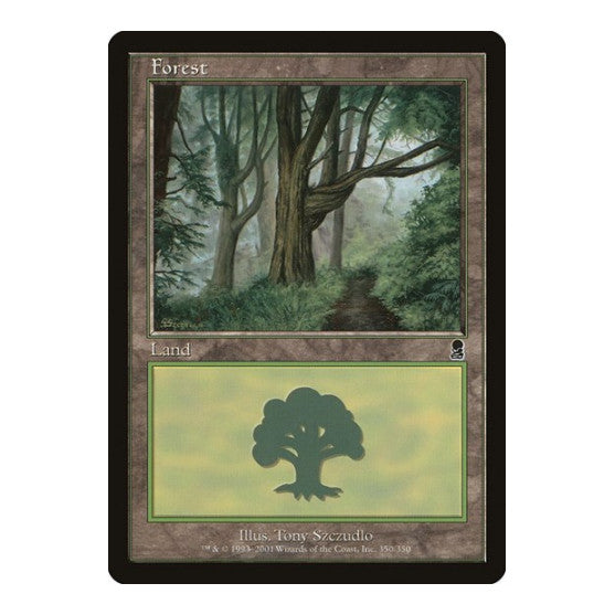 Forest 350 (ODY) #350 Land (Moderately Played) Odyssey Magic: The Gathering: 2001