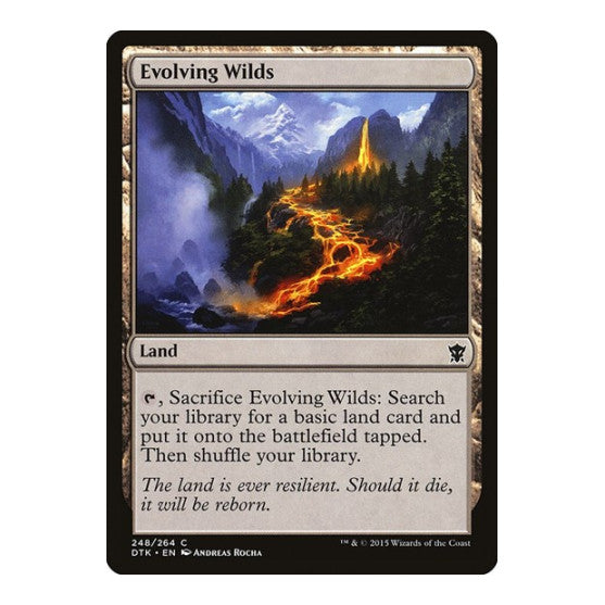 Evolving Wilds (DTK) #248 Common (Lightly Played) Dragons of Tarkir Magic: The Gathering: 2015